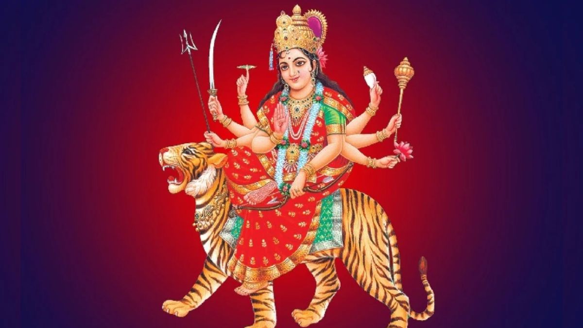 naidunia_image