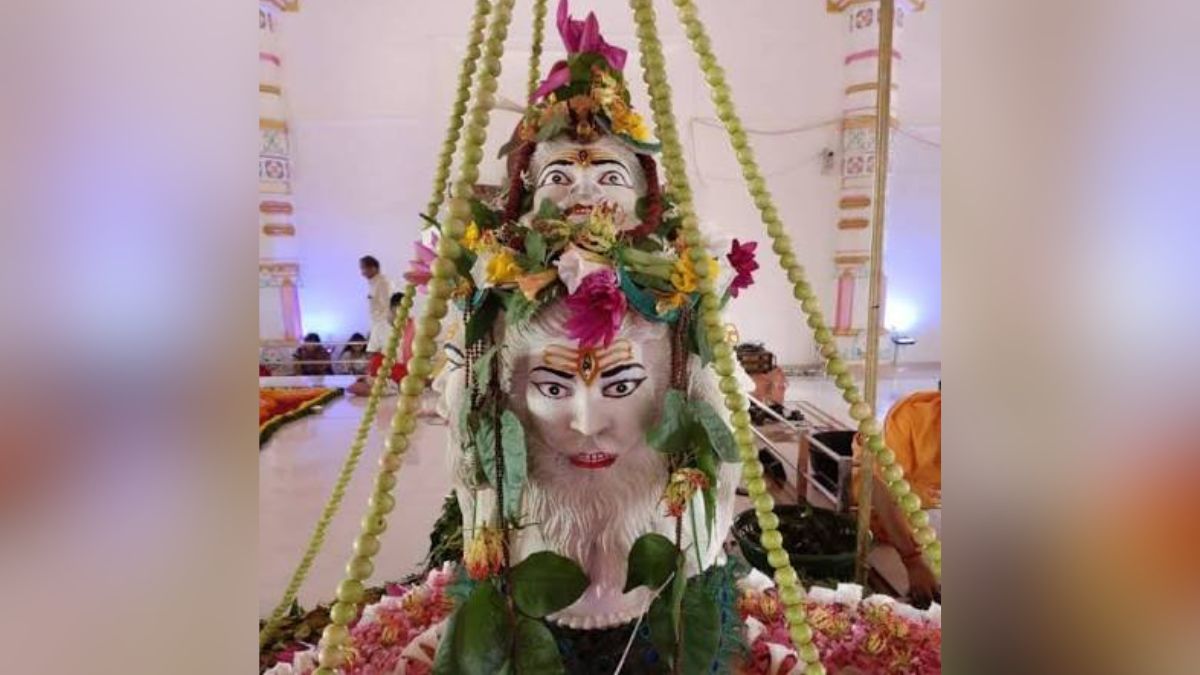 naidunia_image