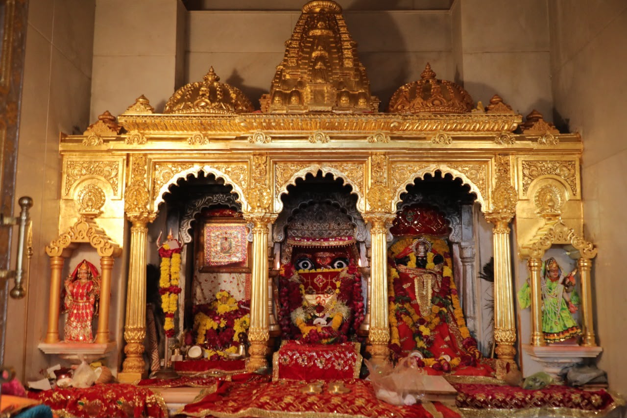 naidunia_image