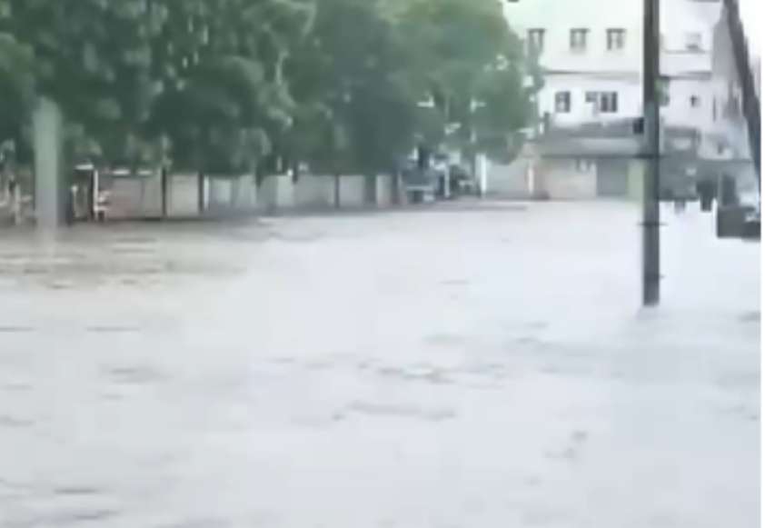 naidunia_image