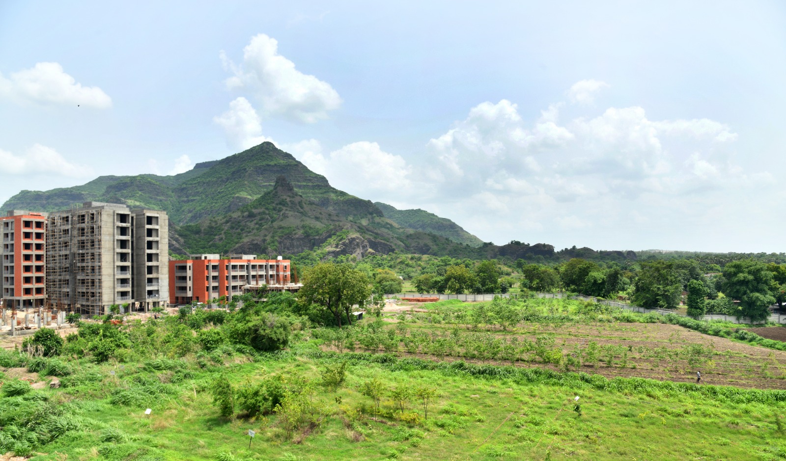 naidunia_image