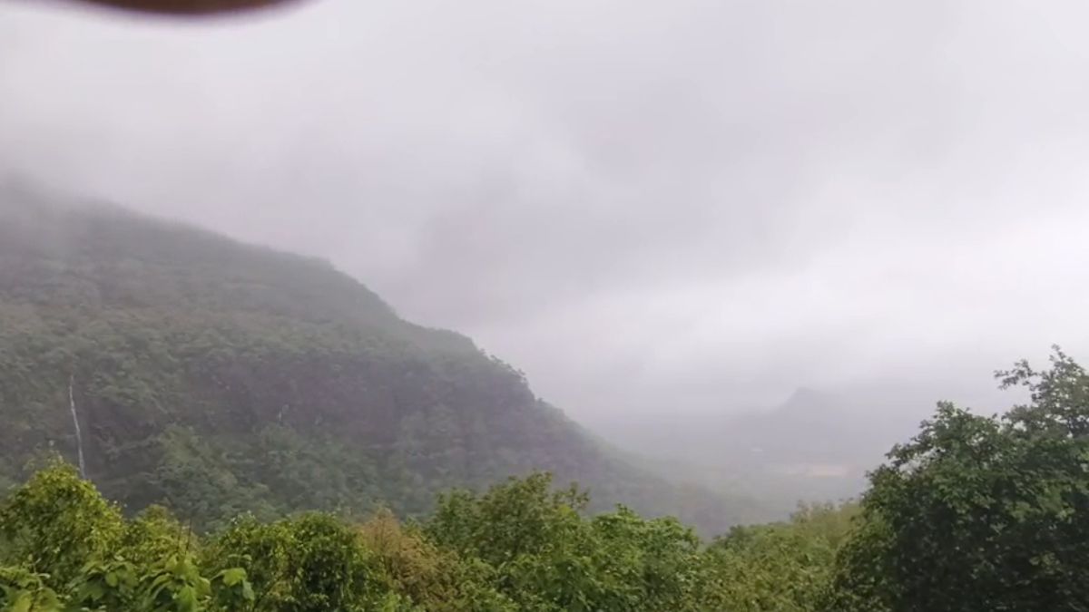 naidunia_image