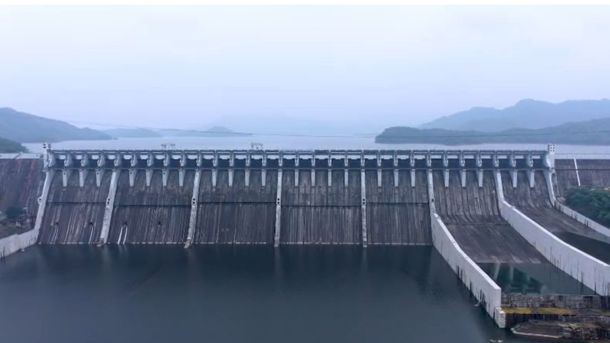 naidunia_image