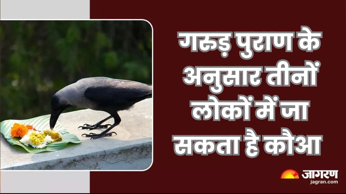 Pitru Paksha 2025 crow
