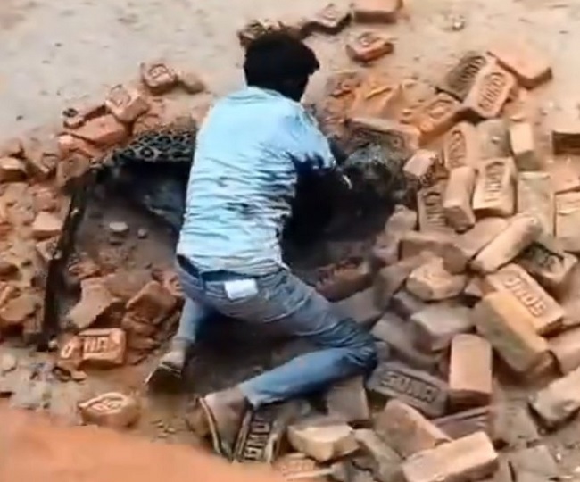 Mihi Lal Dainik Jagran