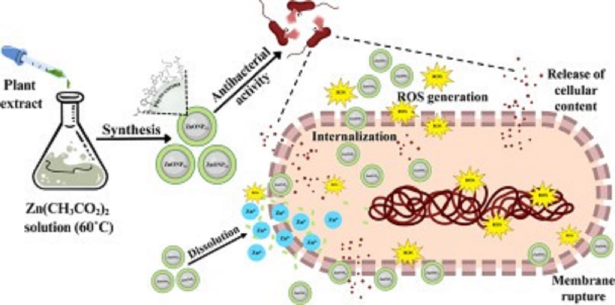 WhatsApp Image 2025-10-15 at 12.03.01 PM