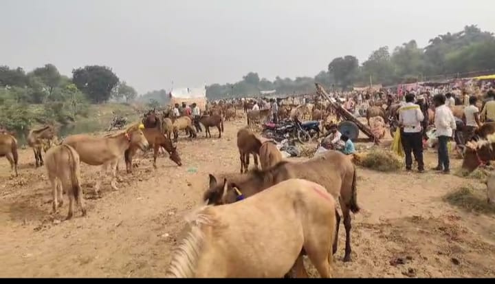 WhatsApp Image 2025-10-22 at 9.33.04 PM