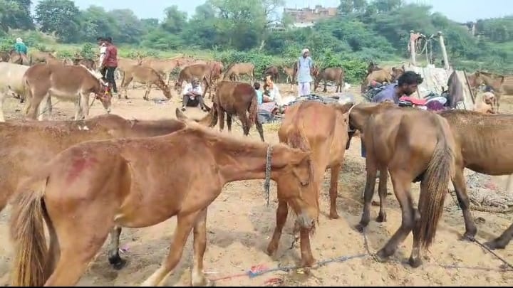 WhatsApp Image 2025-10-22 at 9.33.05 PM