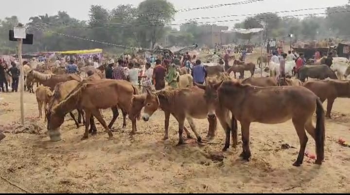 WhatsApp Image 2025-10-22 at 9.33.06 PM