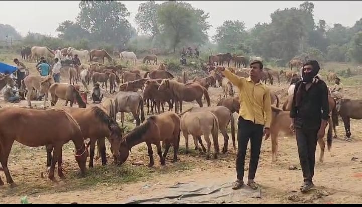 WhatsApp Image 2025-10-22 at 9.33.07 PM