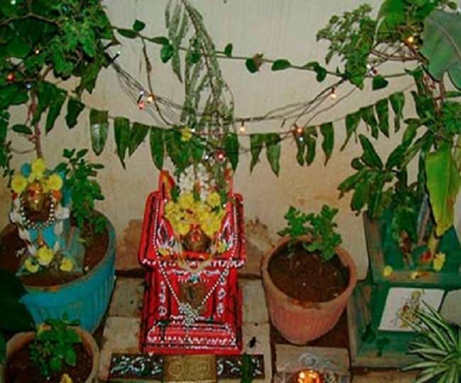 13_05_2020-07_11_2019-tulsi_vivah_19734029_20266673 (1)