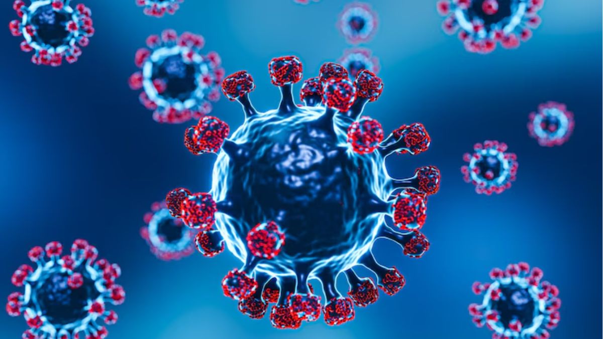 Covid 19 JN1 Variant