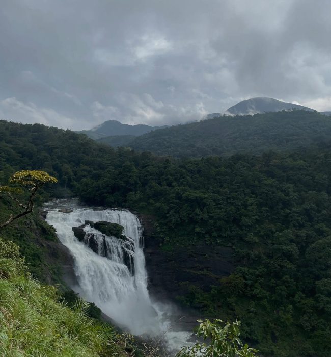 coorg