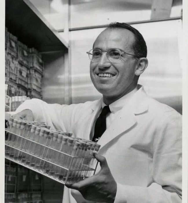 dr salk