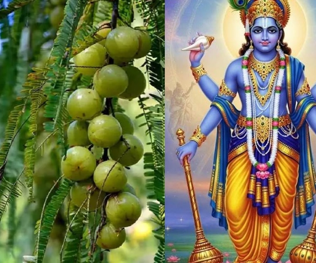 Akshaya navami i