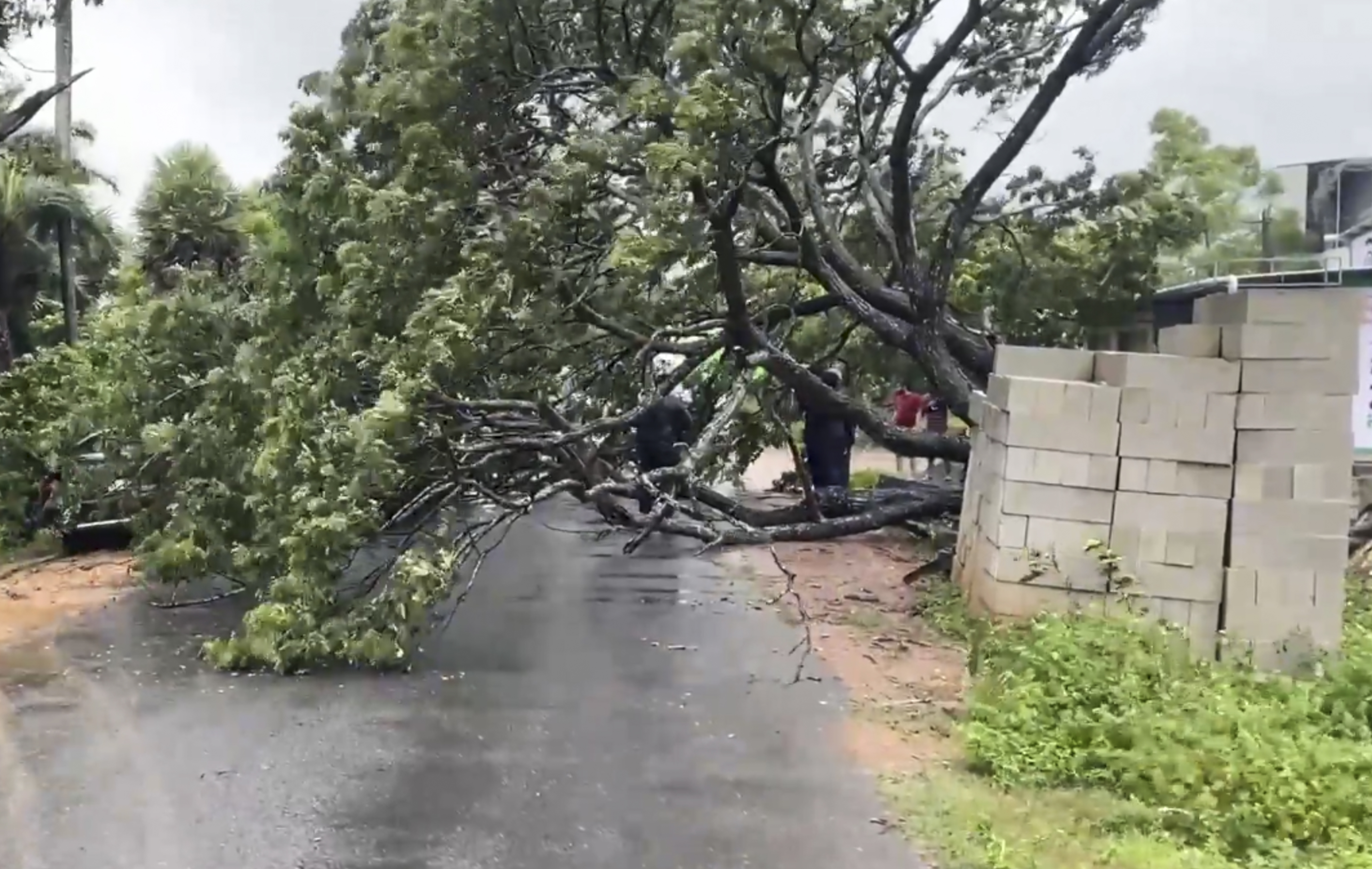 PTI10_28_2025_000406B