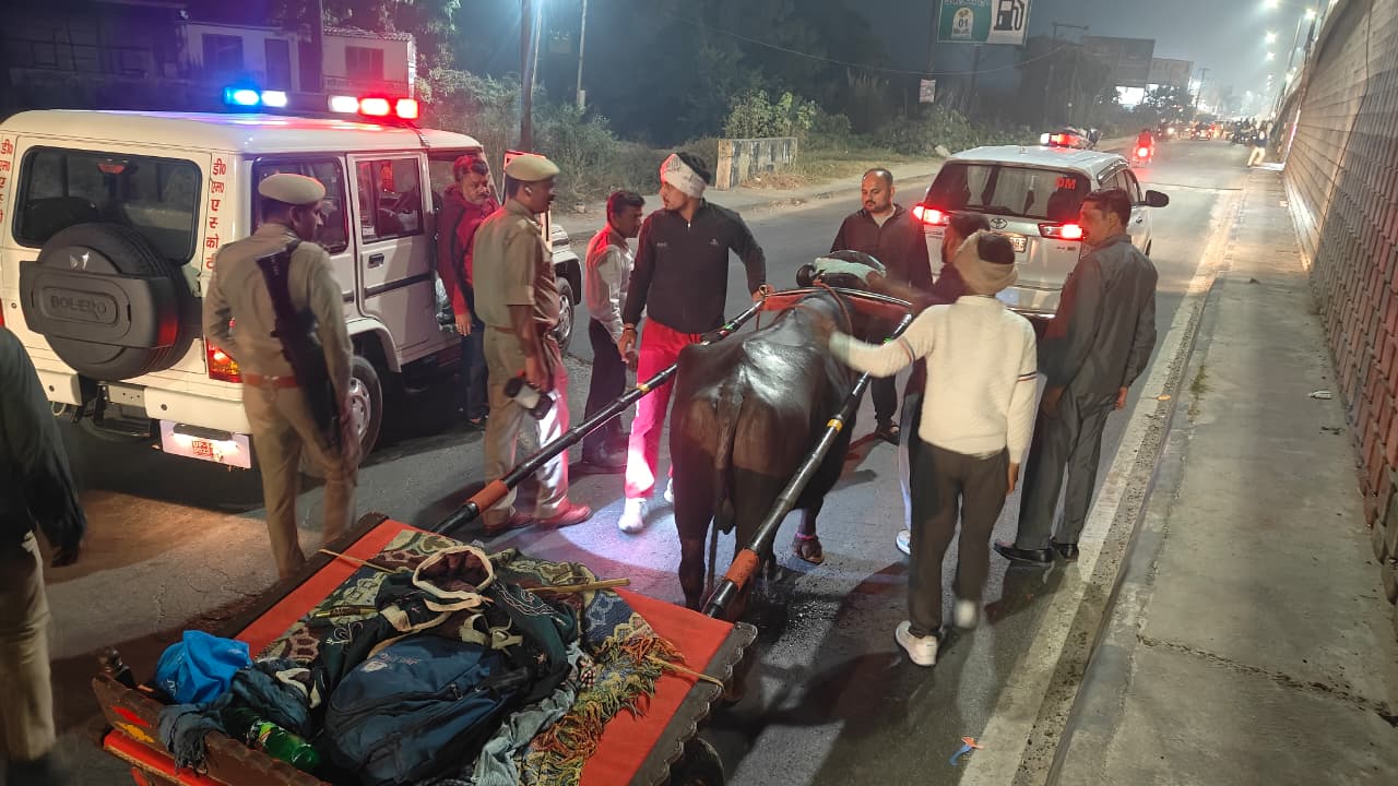 WhatsApp Image 2025-10-28 at 11.25.34