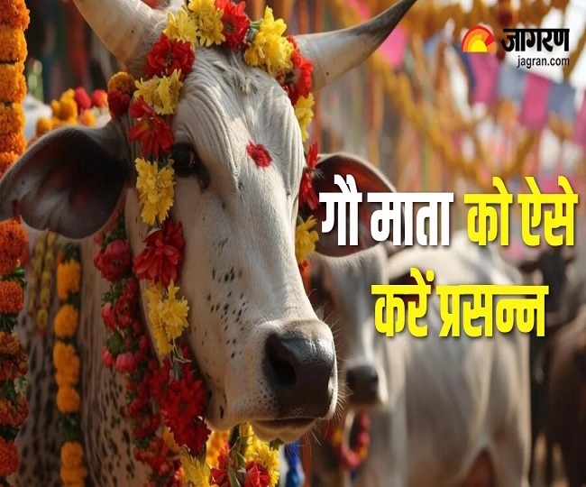 gau mata puja(1)