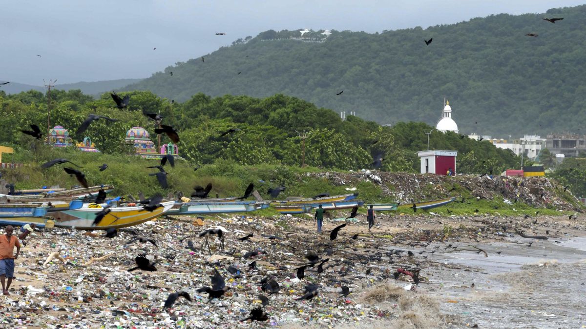 Montha Cyclone profile (1)