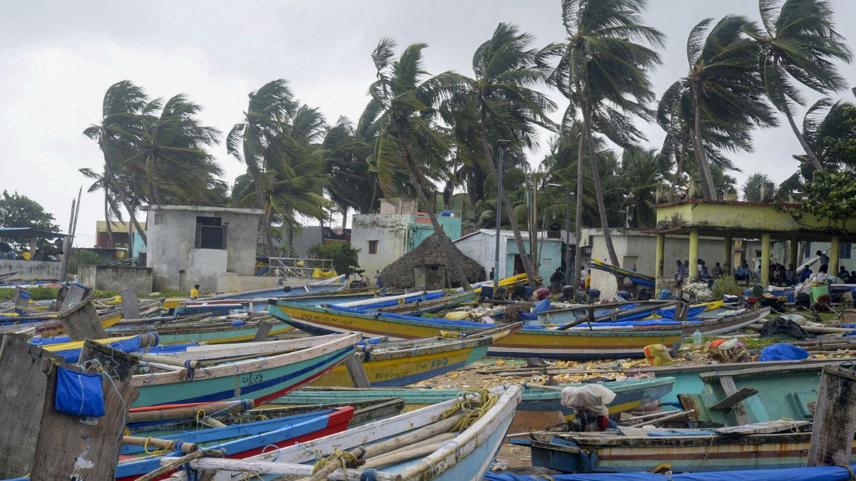 Montha Cyclone profile