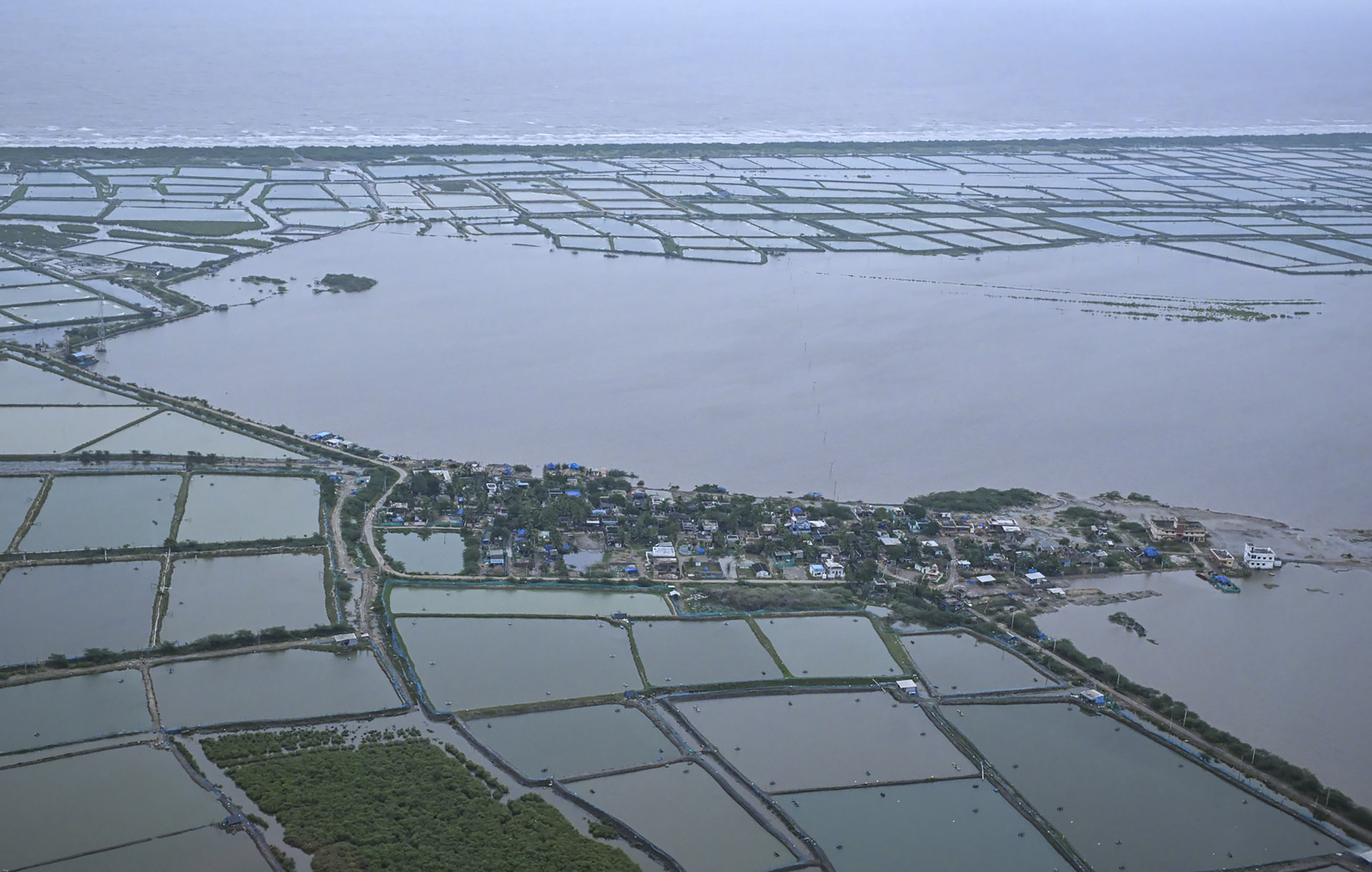 PTI10_29_2025_000412B