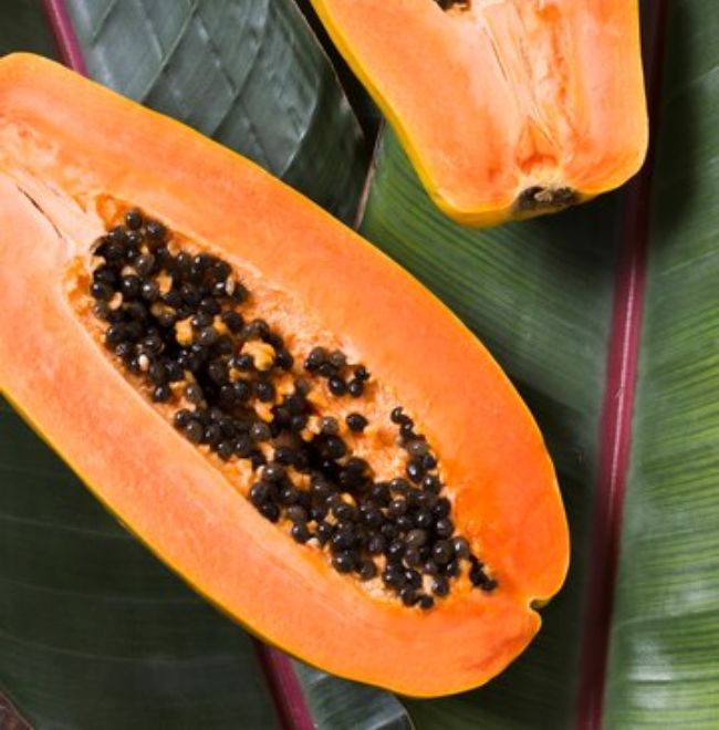 papaya Side effects (1)