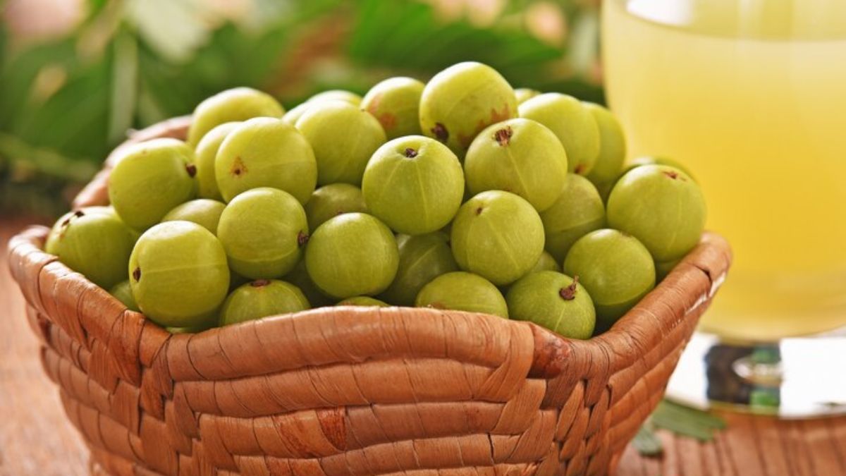 Amla