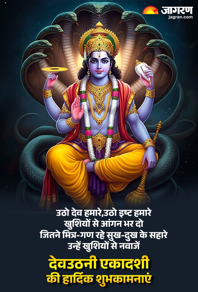 WhatsApp Image 2025-10-31 at 1.22.03 PM