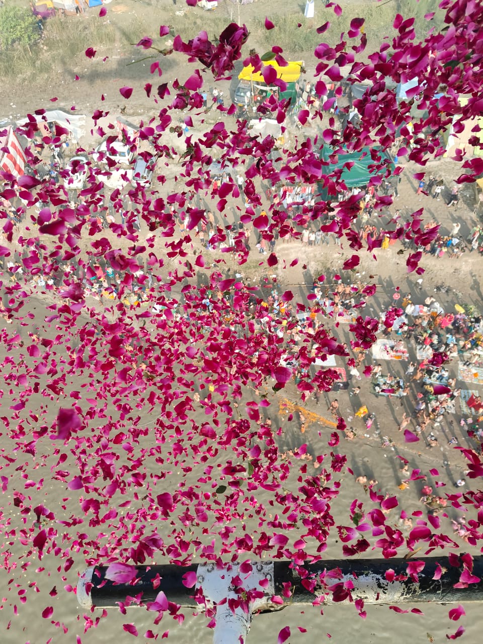 WhatsApp Image 2025-11-05 at 10.19.54