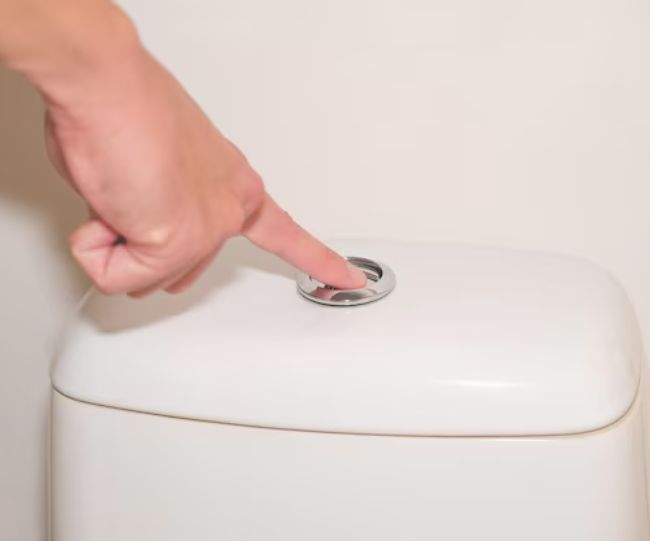 Toilet Have Two Flush Buttons