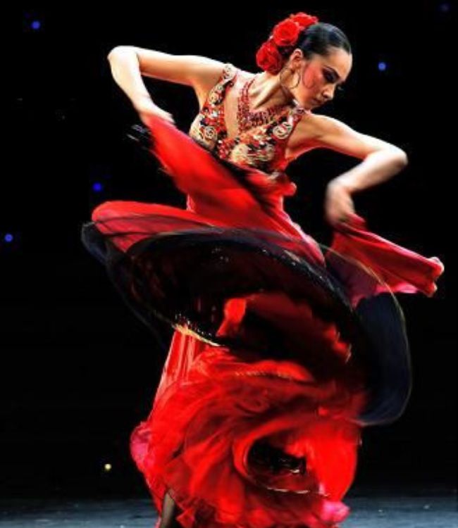 Flamenco (3)