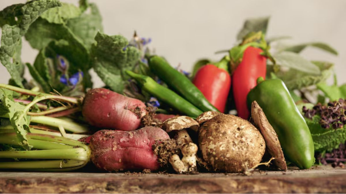 Winter Vegetables (2)