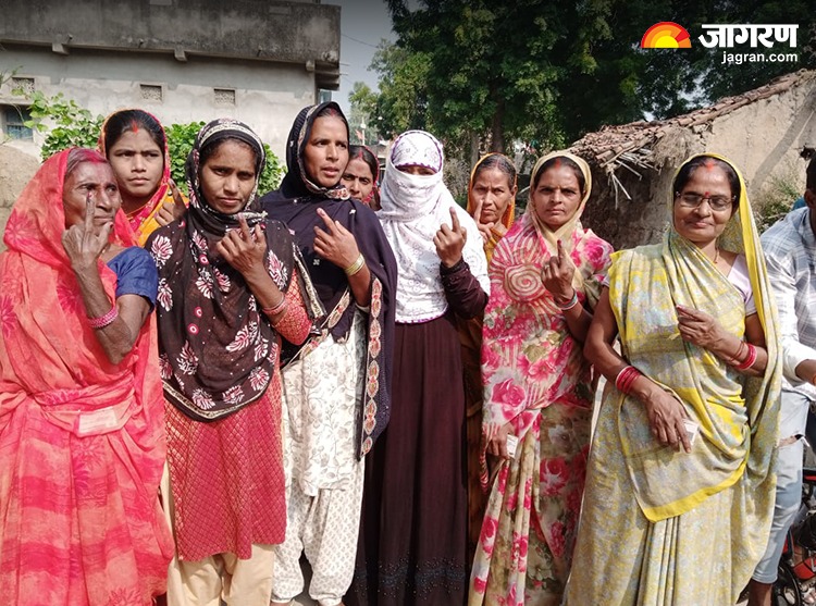 Bihar Vidhan sabha Voting image 9