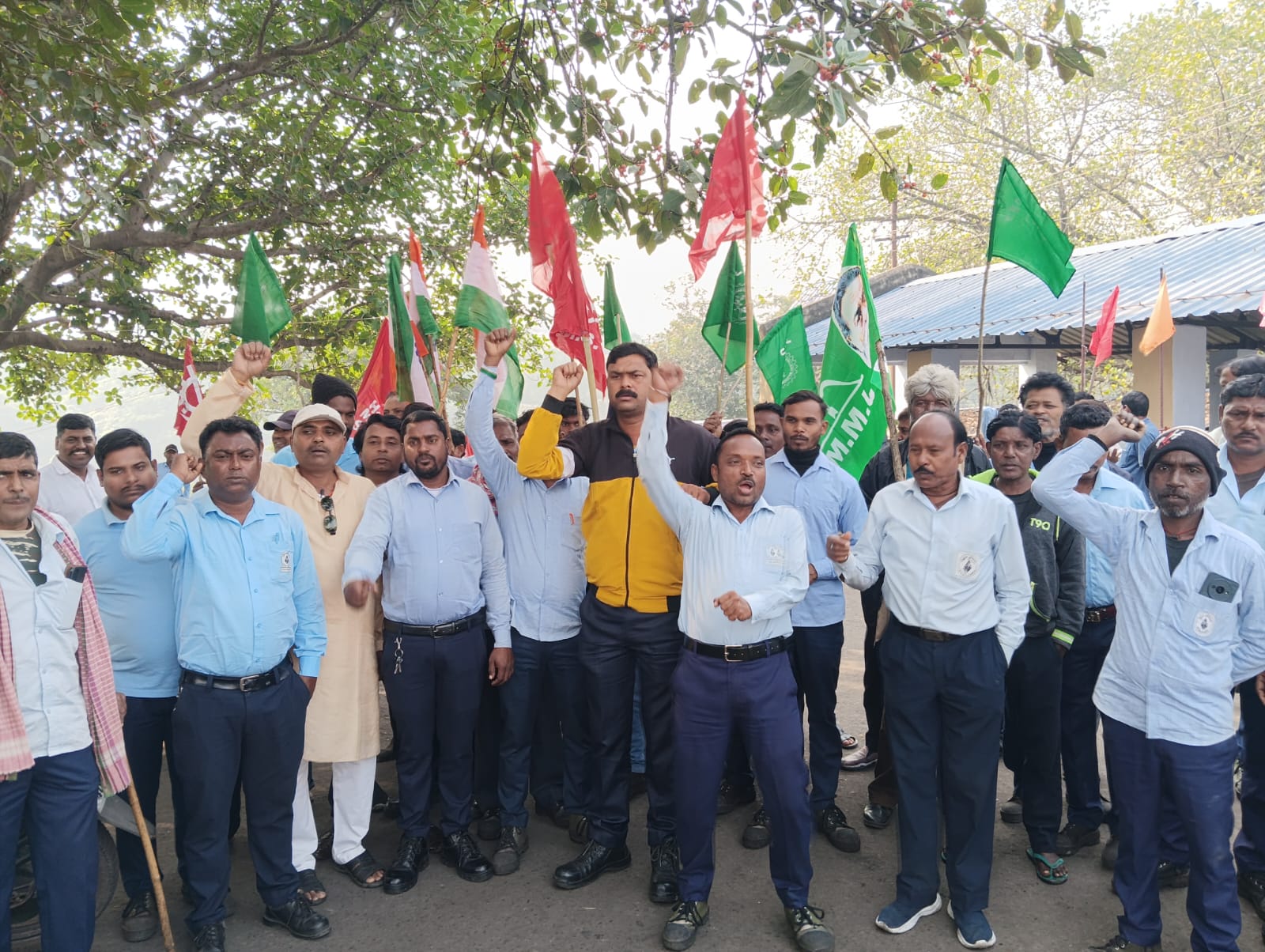 WhatsApp Image 2025-11-12 at 11.26.22 AM