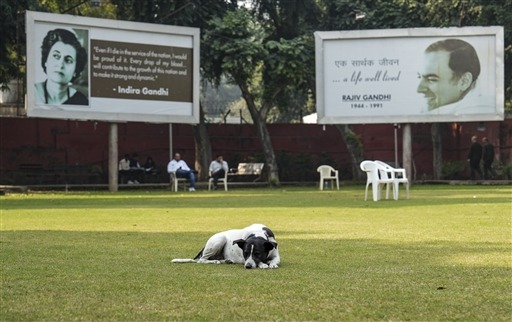 WhatsApp Image 2025-11-14 at 16.32.37