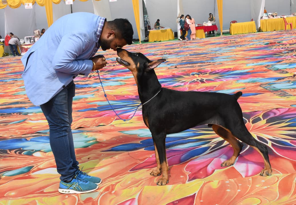 Dog show Kanpur WhatsApp Image 2025-11-15 at 18.30.43