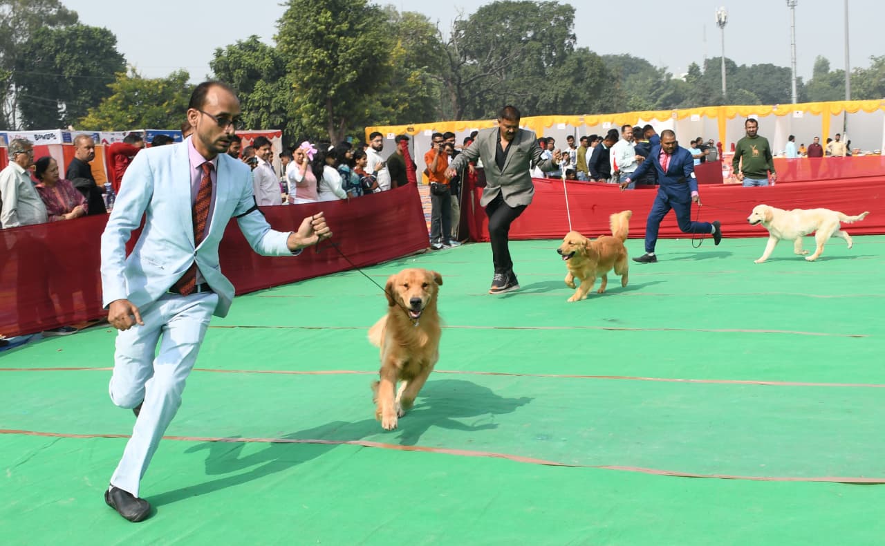 Dog show Kanpur WhatsApp Image 2025-11-15 at 18.30.50