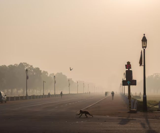 Air Pollution Diabetes Link