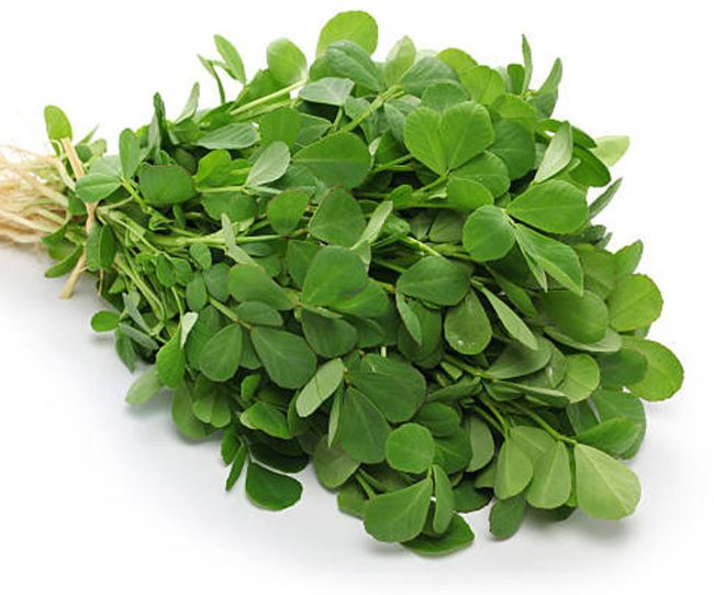 Grow Fresh Methi in Your Balcony