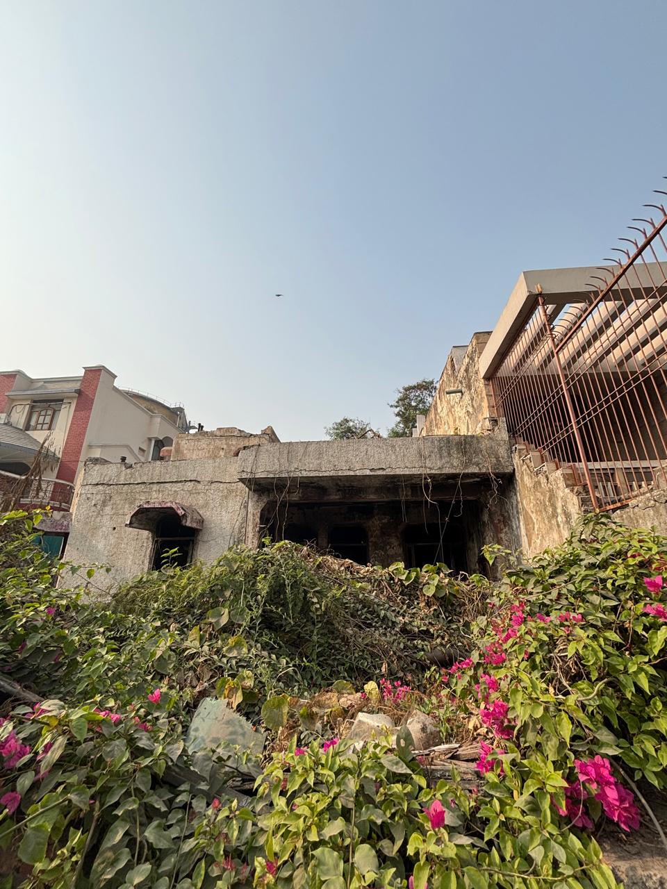 WhatsApp Image 2025-11-18 at 6.48.36 PM