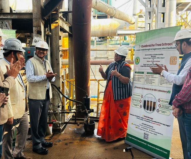 NSi Kanpur Sugar from tree bark 3