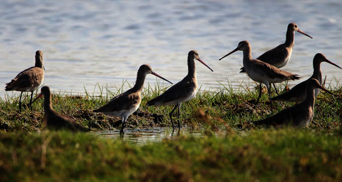 WhatsApp Image 2025-11-20 at 11.59.58 AM