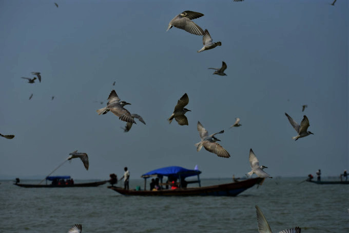 WhatsApp Image 2025-11-20 at 11.59.59 AM