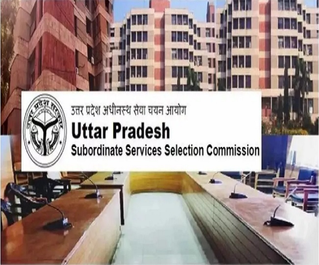 up lekhpal eligibility criteria