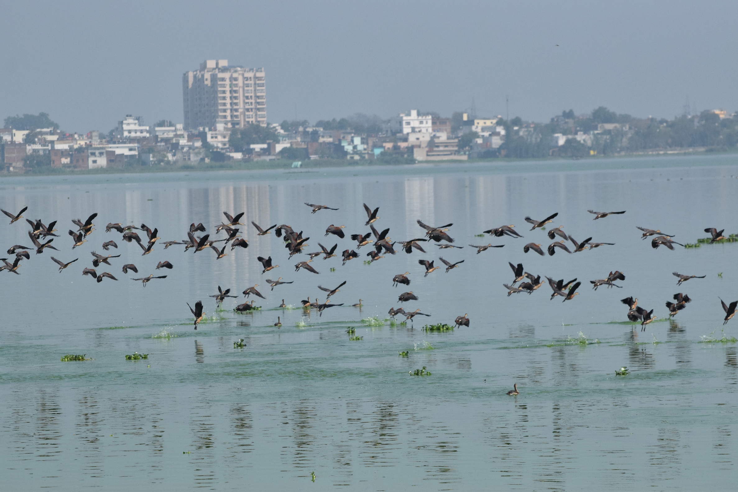 22gkc_97_22112025_496