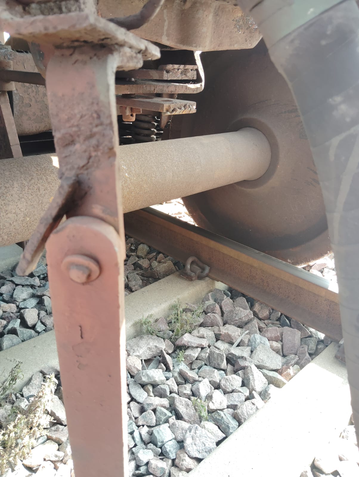 WhatsApp Image 2025-11-26 at 2.32.50 PM