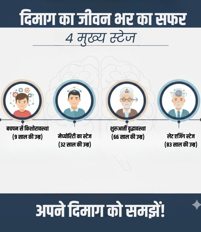 Brain Development (1)