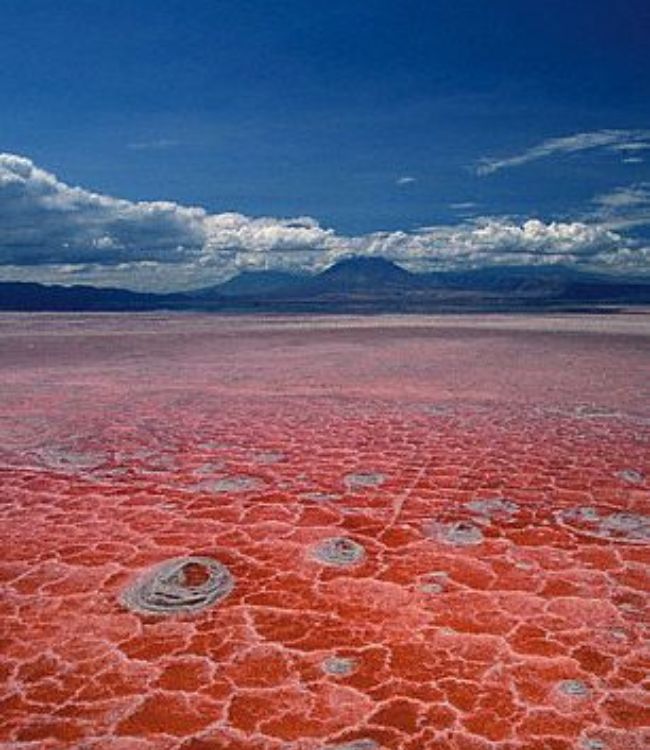 Lake Natron
