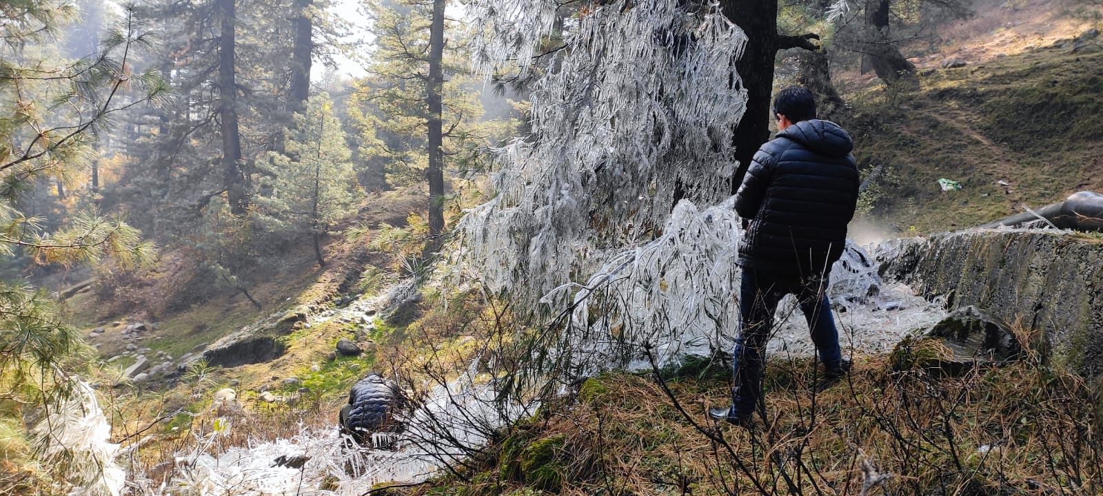 WhatsApp Image 2025-11-24 at 13.46.34 (1)