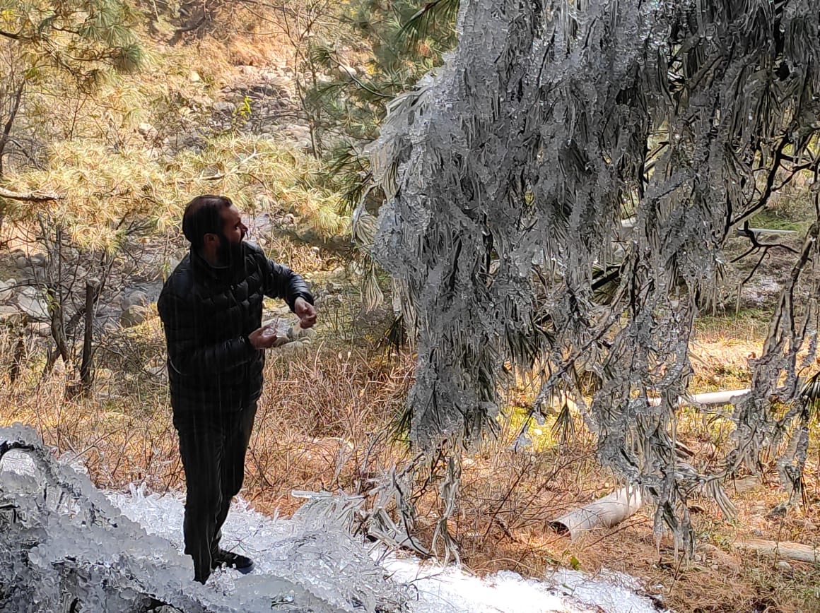 WhatsApp Image 2025-11-24 at 13.46.34 (2)